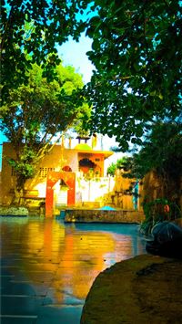 Freudenberg wallpaper