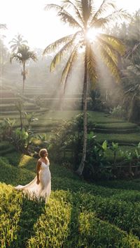 Rice Terraces of Vietnam wallpaper