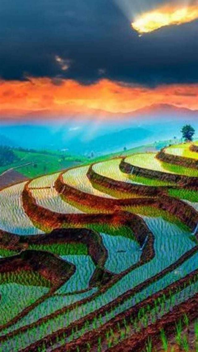 1080x1920 Rice Terraces of Vietnam - 100 most beautiful places to visit iPhone 8 Wallpaper