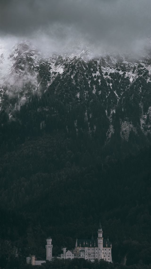 1080x1920 castle trees neuschwanstein castle - neuschwanstein castle iPhone 8 Wallpaper