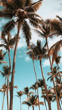 Dominican Republic wallpaper