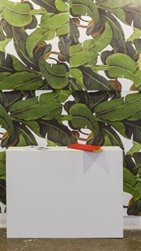 Dominican Republic wallpaper