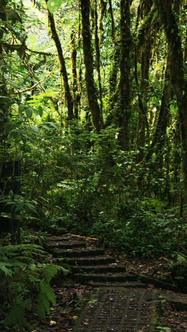 1080x1920 Tikal -  iPhone 8 Wallpaper