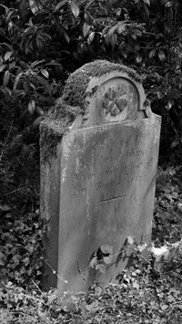 Stone Forest wallpaper