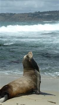 Galapagos Islands wallpaper