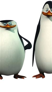 Penguins Of Madagascar Hd Samsung Galaxy Note wallpaper