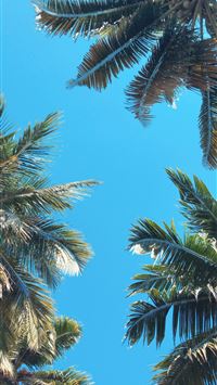 Kerala India wallpaper