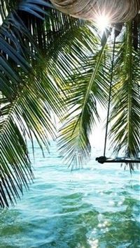 Phi Phi Islands wallpaper