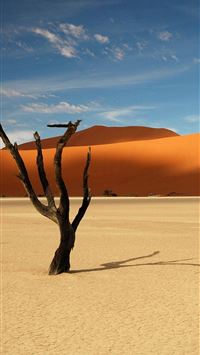 Namib Desert wallpaper