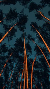 Angel Falls wallpaper