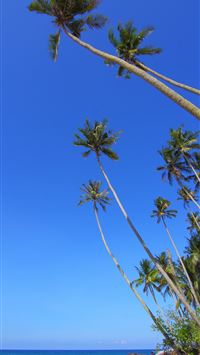 Beach Caribbean Barbados Coast sea beach free imag... wallpaper