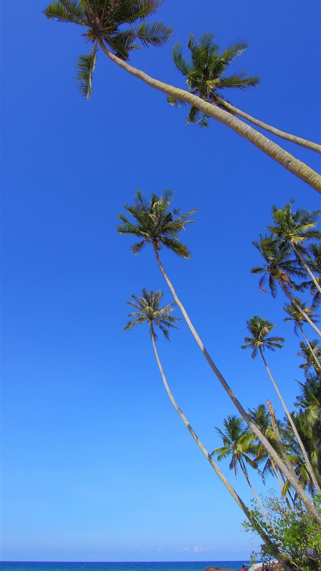 1080x1920 Beach Caribbean Barbados Coast sea beach free imag... - barbados iPhone 8 Wallpaper