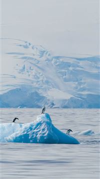 Antarctica Phone Cave wallpaper