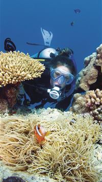 Great Barrier Reef endures 'most extensive coral b... wallpaper