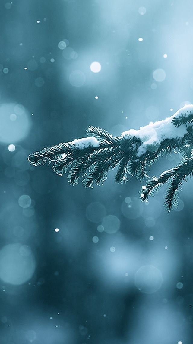 Download Wallpaper Of Winter Season