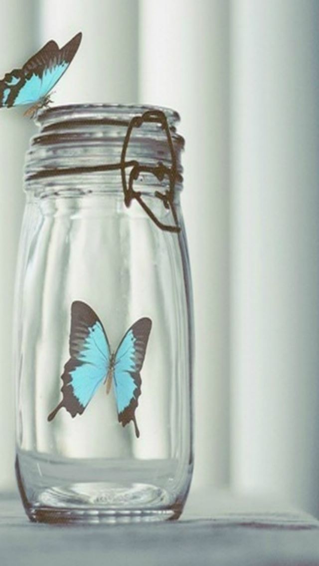 Blue Beautiful Butterfly In Glass Bottle Iphone Se Free