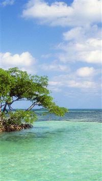 Trees Island Sailing Vessel Bank Azure Horizon iPhone 5(s/c)~se wallpaper