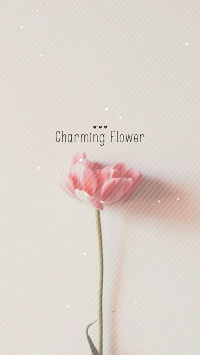 Flower Wallpaper For Iphone 5c - GAMBAR BUNGA