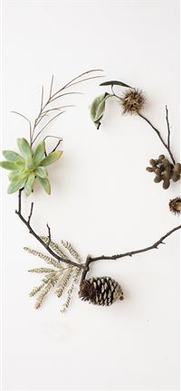 Nature flatlay iPhone 5(s/c)~se wallpaper