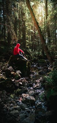 The-Hidden-Creek iPhone 5(s/c)~se wallpaper