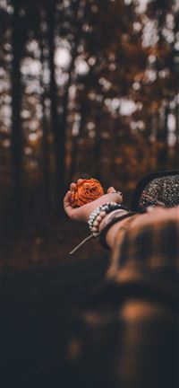 A Flower for You iPhone 5(s/c)~se wallpaper
