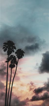 Storms Comin’ iPhone 5(s/c)~se wallpaper