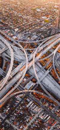 Judge Harry Pregerson Interchange iPhone 5(s/c)~se wallpaper