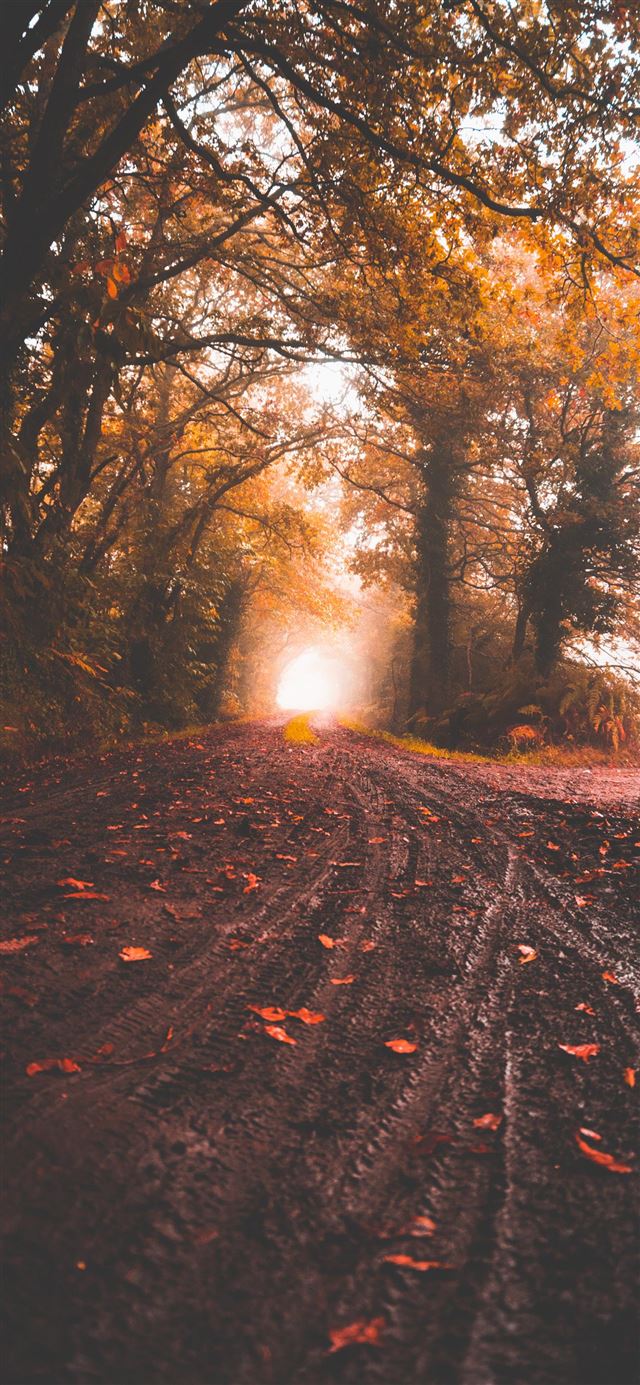 1080x1920 Next step to the paradise -  iPhone SE Wallpaper
