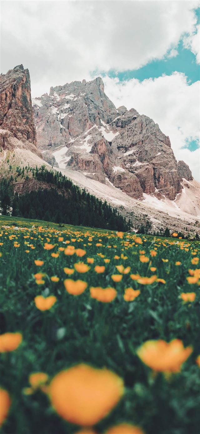 1080x1920 Rolle Pass  Italy - flower iPhone SE Wallpaper