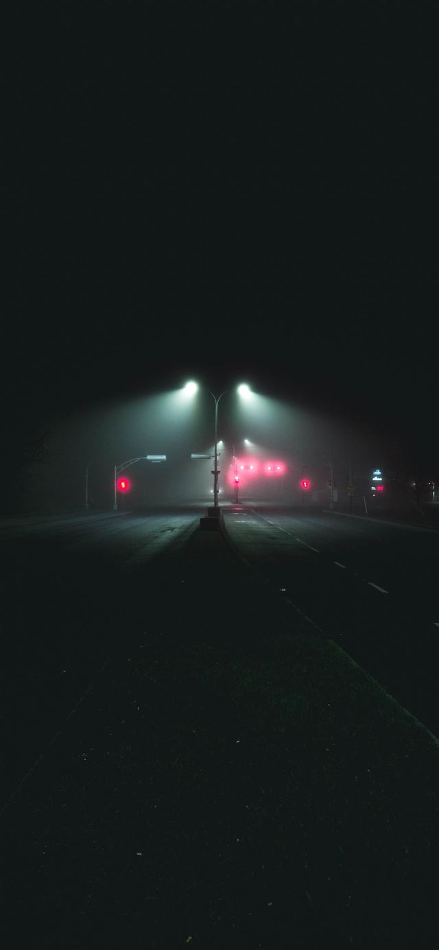 1080x1920 Foggy boulevard - street iPhone SE Wallpaper