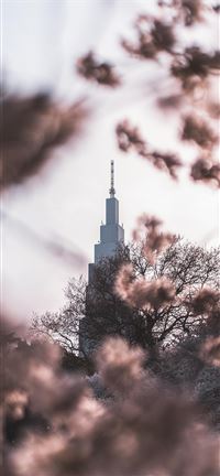 Through it all  Im Jaded wallpaper