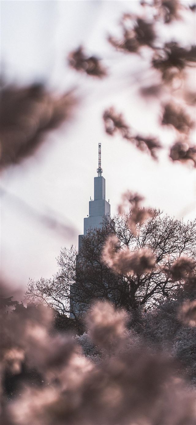 1080x1920 Through it all  Im Jaded - blossom iPhone SE Wallpaper