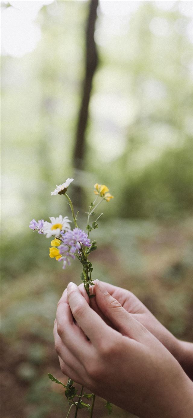 1080x1920 Ontario  Canada - nature iPhone SE Wallpaper