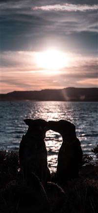 Patrick Hendry wallpaper