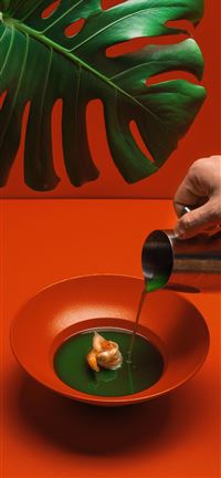 burst studio  Tallinn  Estonia wallpaper