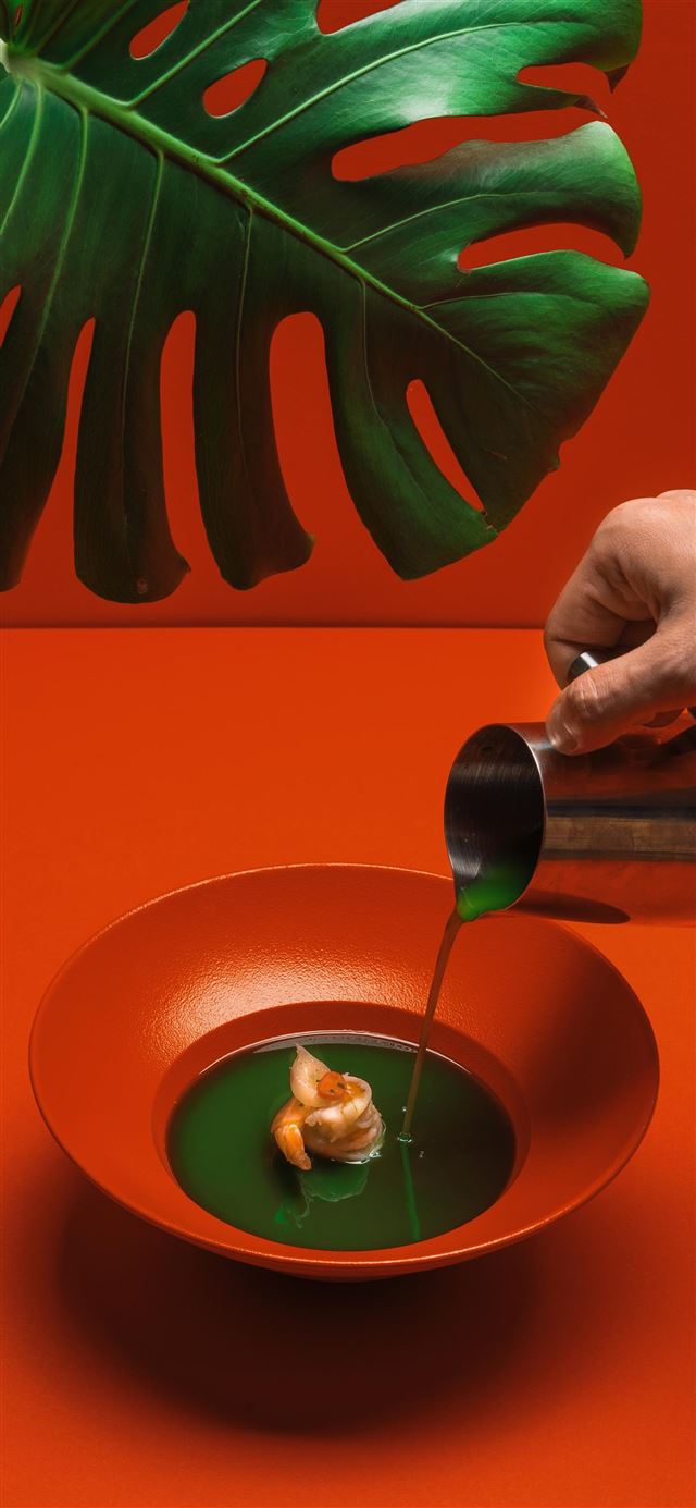 1080x1920 burst studio  Tallinn  Estonia - food iPhone SE Wallpaper