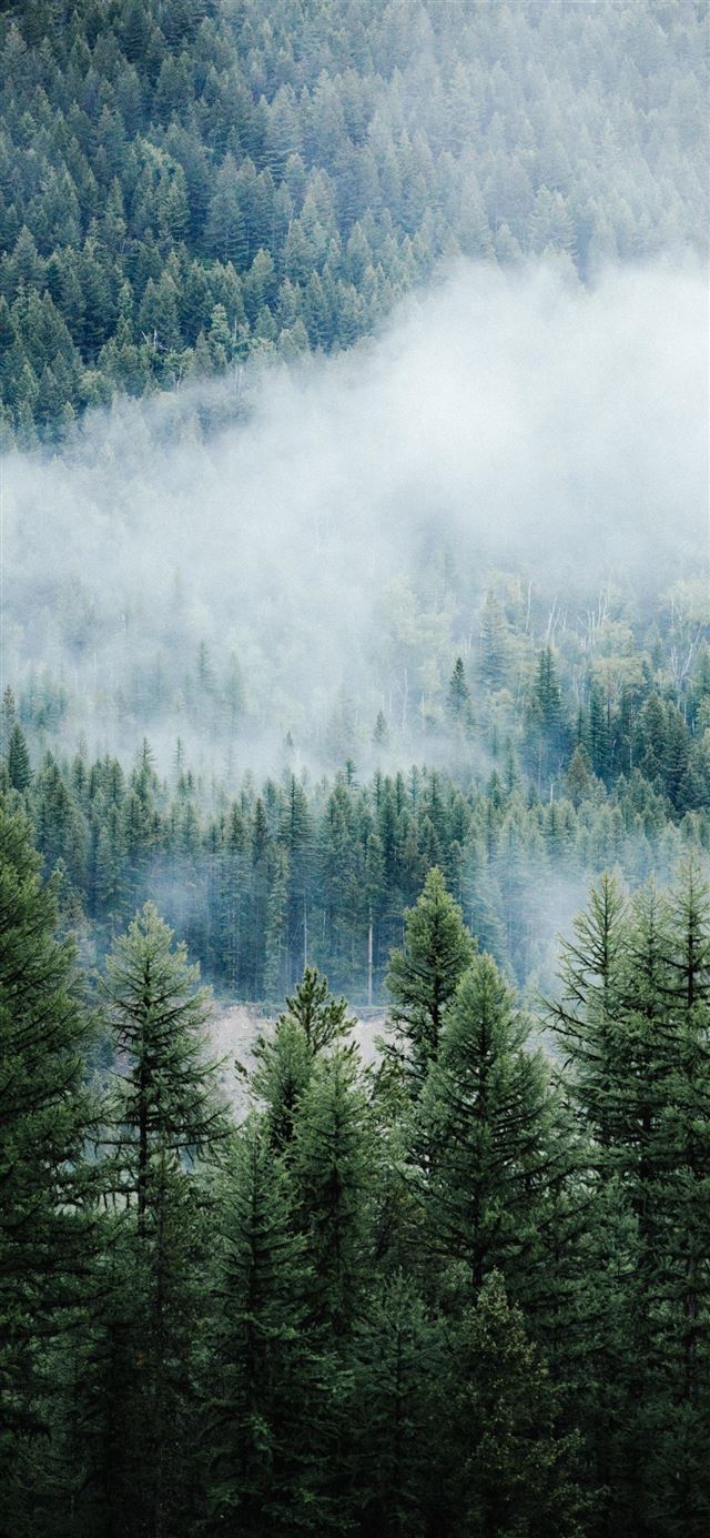 1080x1920 A Moody Morning -  iPhone SE Wallpaper