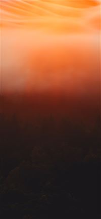 SYMPHONY OF LIGHT wallpaper