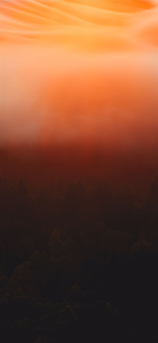 1080x1920 SYMPHONY OF LIGHT - abstract iPhone SE Wallpaper