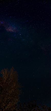 Noche del amigo wallpaper