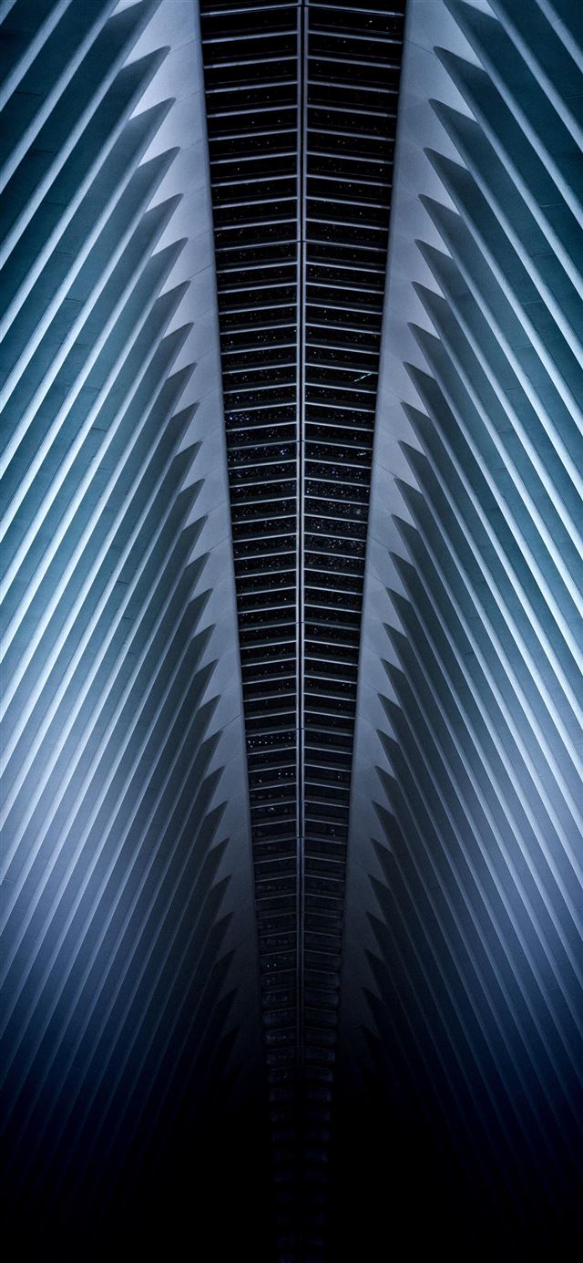 1080x1920 In the Oculus - night iPhone SE Wallpaper