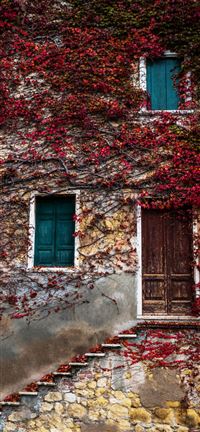 NATURA IN CASA wallpaper