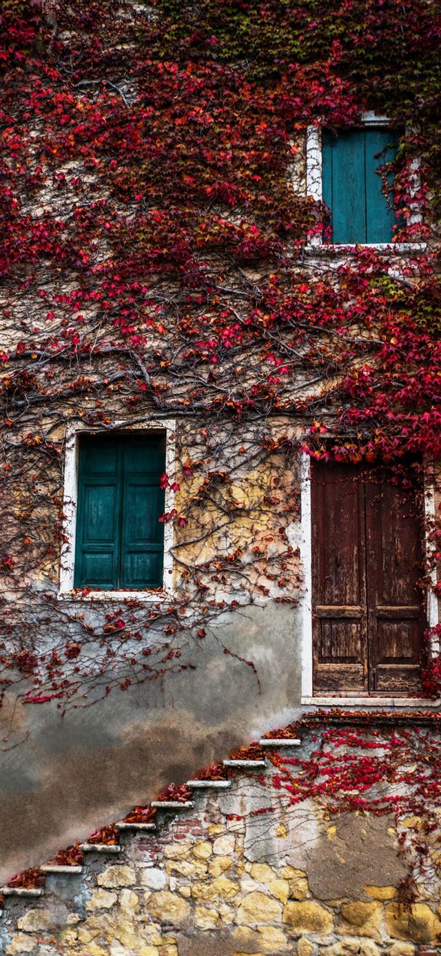 1080x1920 NATURA IN CASA -  iPhone SE Wallpaper