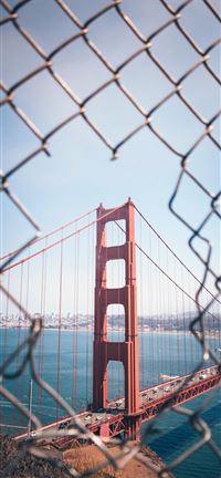 Through the Fence wallpaper