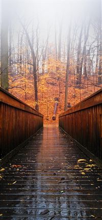 Arlington  United States wallpaper