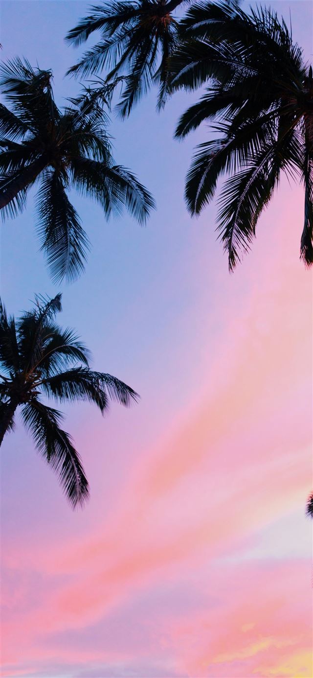 1080x1920 Kihei  United States - sky iPhone SE Wallpaper