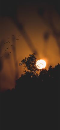 Nature Sunset wallpaper