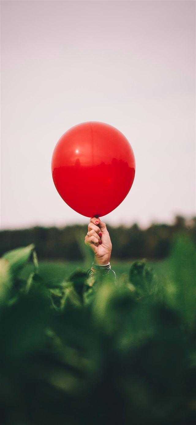 1080x1920 Biggest Tomato in the Field! - leaf iPhone SE Wallpaper
