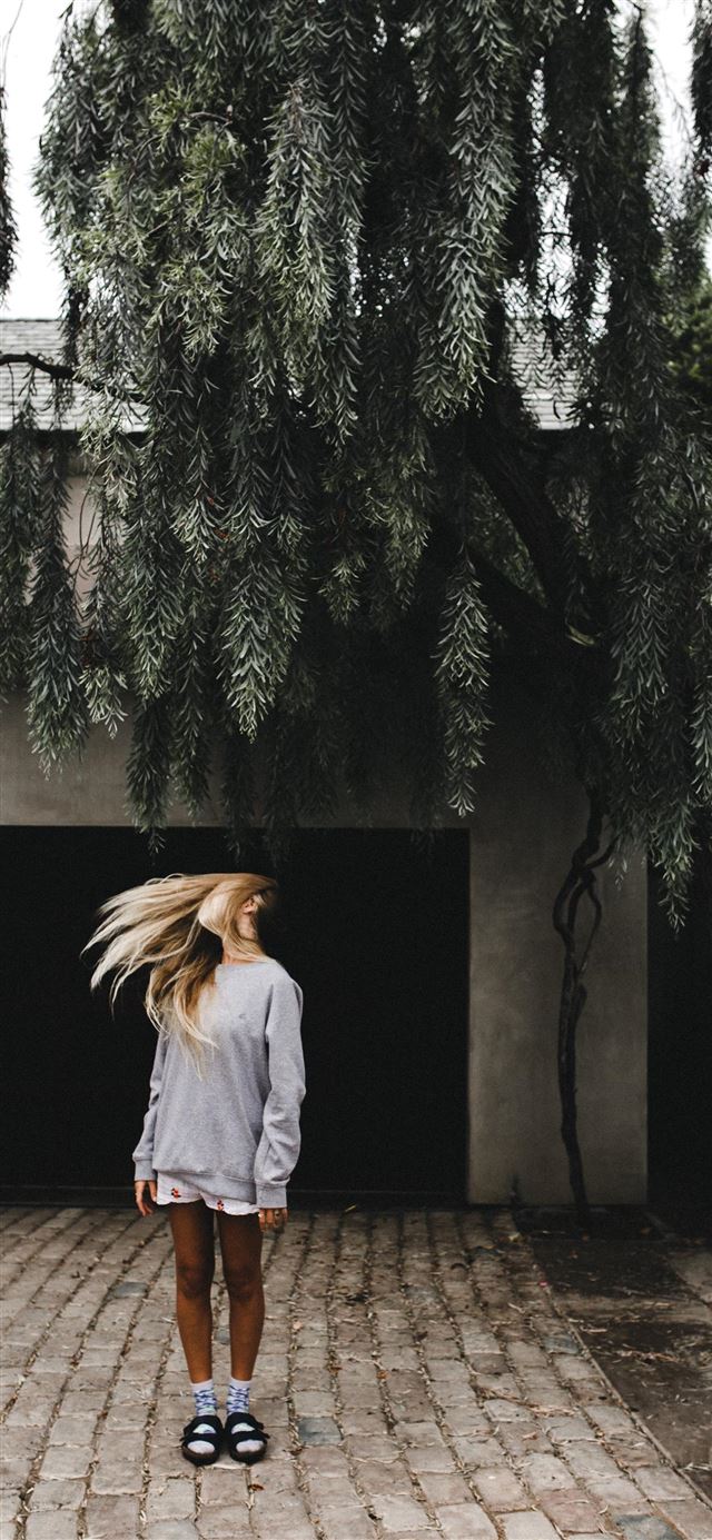 1080x1920 Willow - foggy iPhone SE Wallpaper
