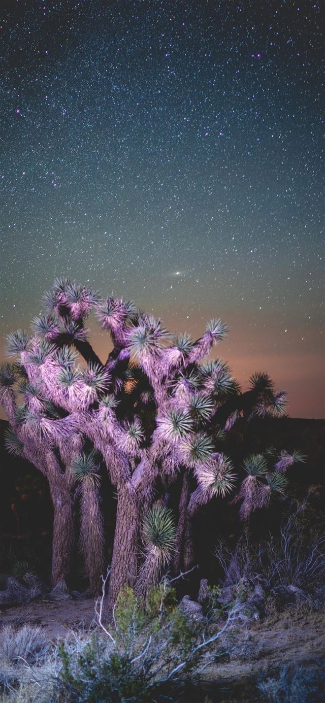 1080x1920 Desert Nights - nature iPhone SE Wallpaper